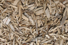 biomass boilers Saltwood