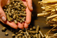 free Saltwood biomass boiler quotes